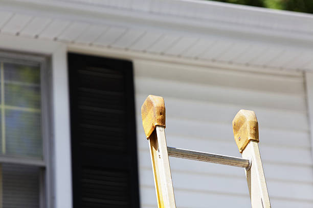 Best Storm Damage Siding Repair  in Fairmont City, IL