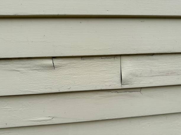 Best Stone Veneer Siding  in Fairmont City, IL